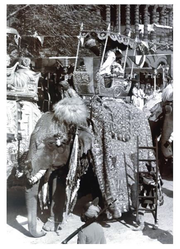 Elephant of Orchha
